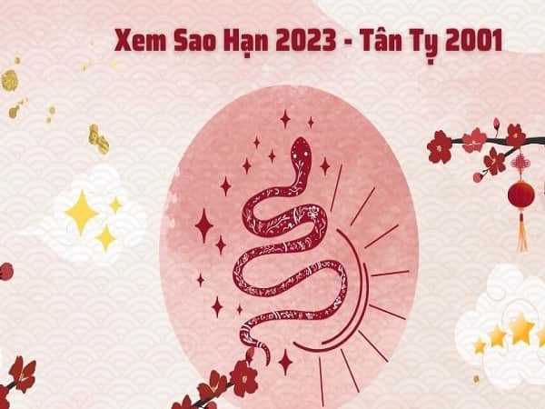 Chi tiết vận hạn Tân Tỵ năm 2023 nam mạng ra sao?