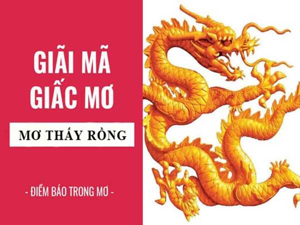 Nằm mơ thấy rồng đánh con gì? Là điềm gì cho tương lai?