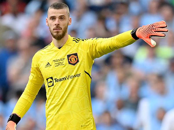 Chuyển nhượng bóng đá 7/8: David de Gea tiến sát Fiorentina