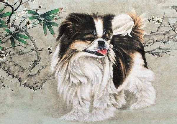Luận giải vận trình tử vi tuổi Giáp Tuất 30/5/2025