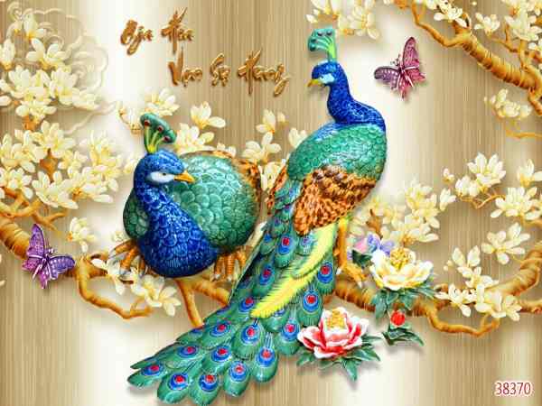 Tranh con công hợp với tuổi nào