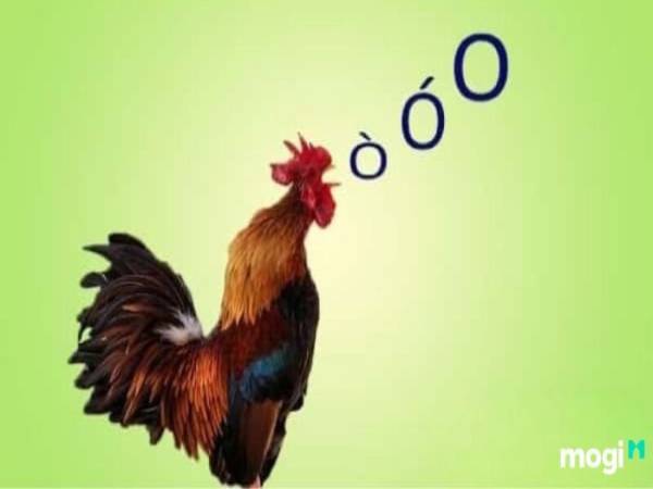 gà gáy tối là điềm gì