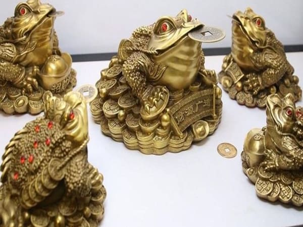 Tìm hiểu ý nghĩa của cóc trong văn hóa và phong thủy
