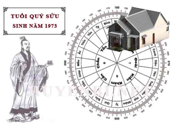 Nam tuổi Quý Sửu hợp hướng nào