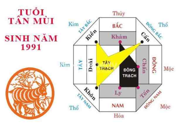 tuổi tân mùi hợp hướng nào
