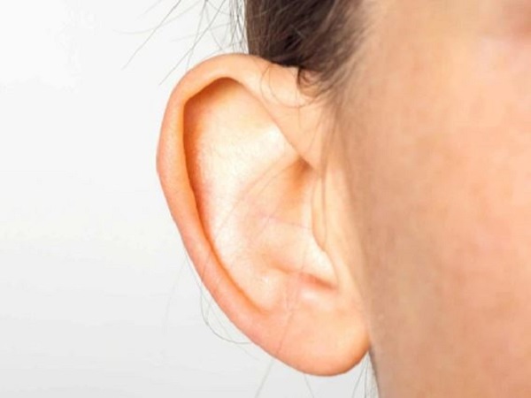 Tướng tai chuột là như thế nào?