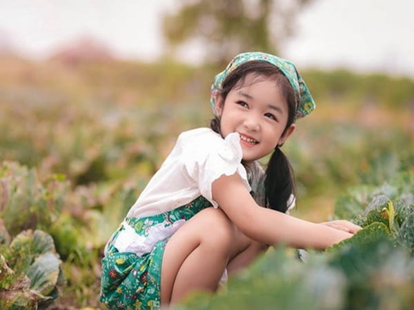 Ý nghĩa tên Yến Vy là gì?
